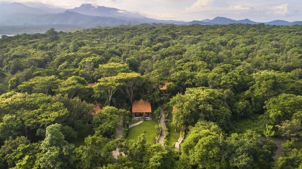 Hutan Taman Nasional Bali Barat