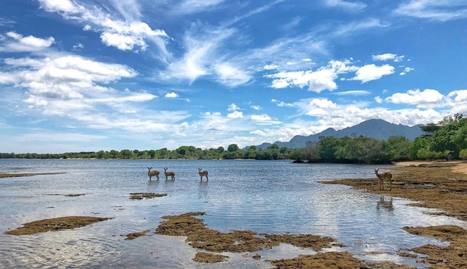 Snorkeling di Taman Nasional Bali Barat