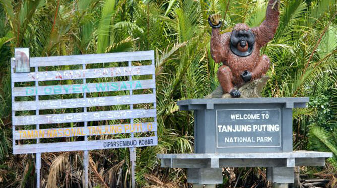 Hutan tropis di Kalimantan