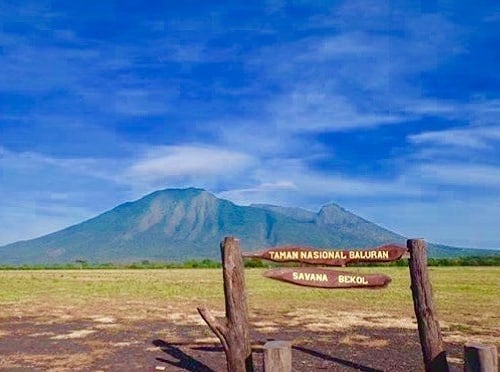 Taman Nasional Baluran