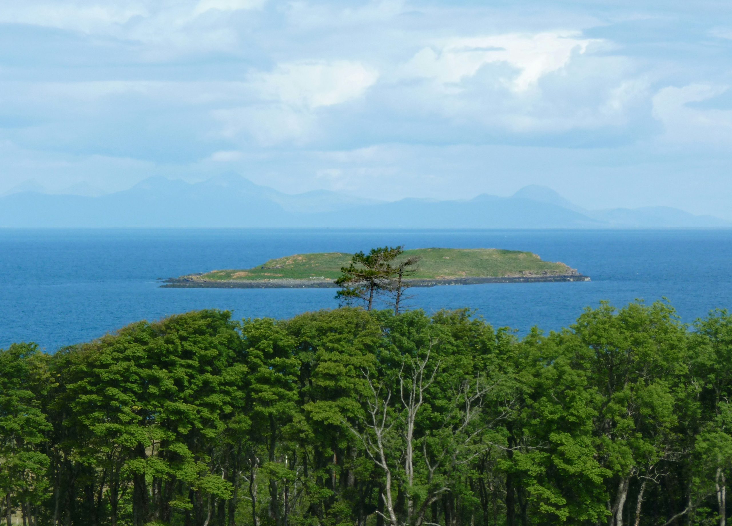 Pulau Ora 1