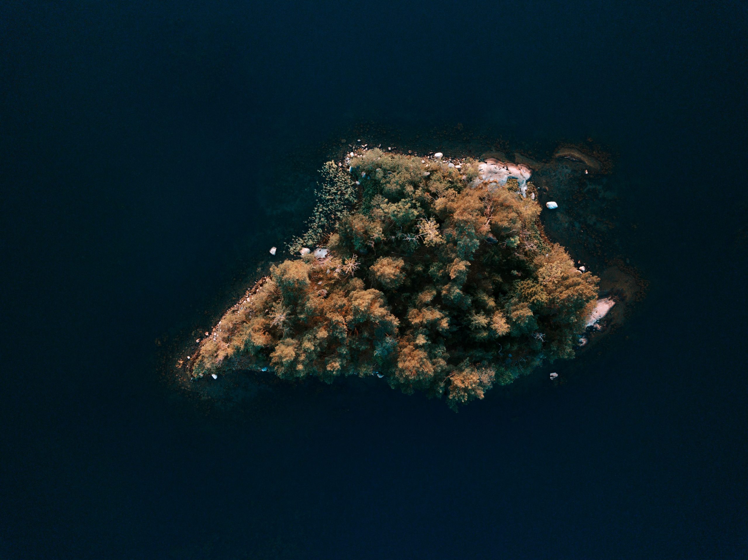 Pulau Ora 3