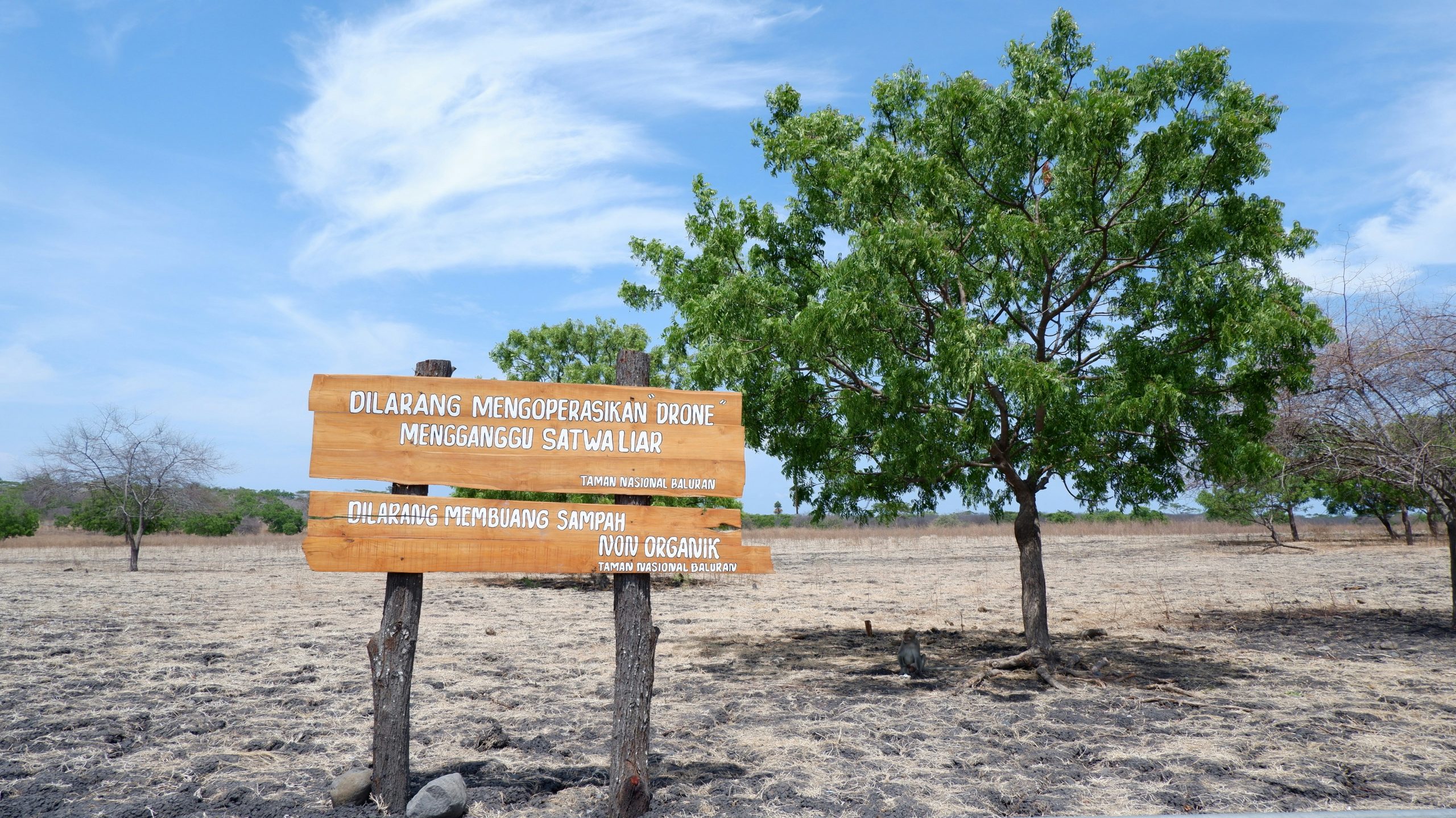 Pantai Bama di Taman Nasional Baluran