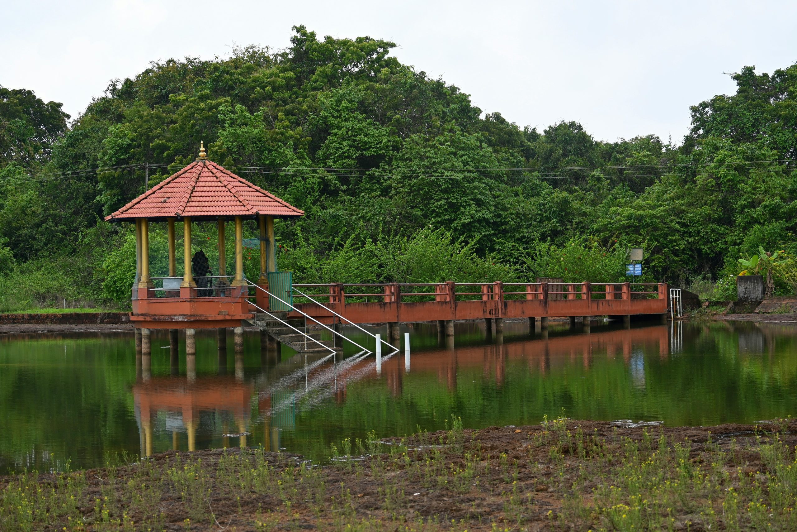 Taman Nasional Tanjung Puting