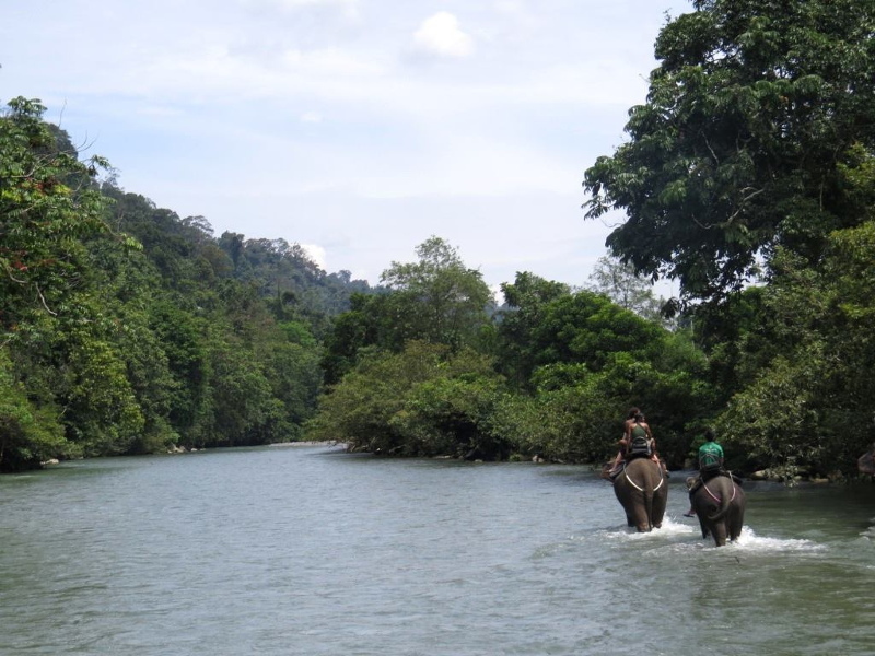Bukit Lawang, pintu masuk Taman Nasional Gunung Leuser